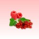 Raspberry - Red Currant